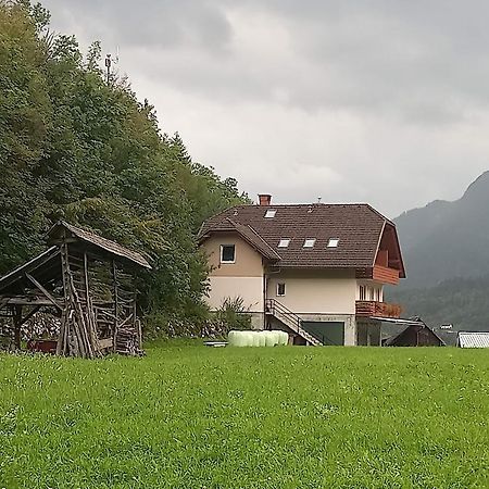 Apartments Dominika ゴレンスカ地方 エクステリア 写真